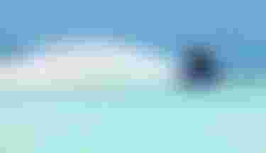 Man kitesurfing on a Duotone board in turquoise tropical waters, creating a large spray wake under a clear blue sky.