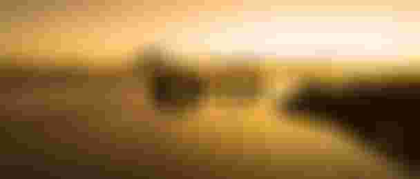 Header_1%fortheplanet