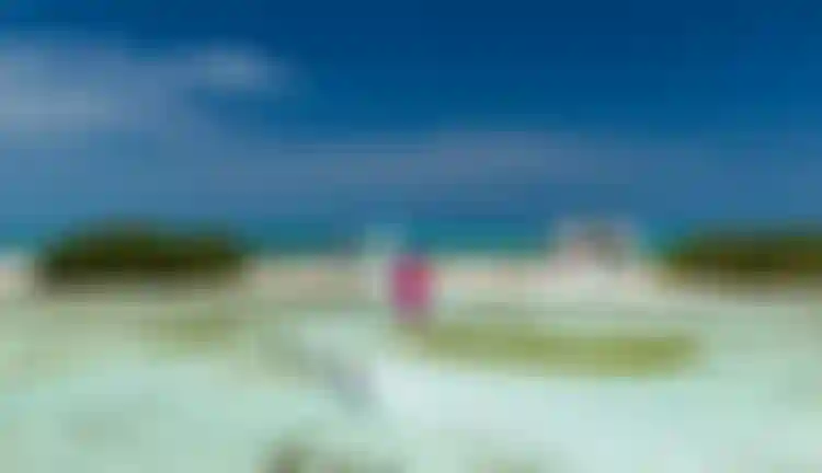 Three kitesurfers riding colorful kites on turquoise shallow waters near a tropical white sand beach with a modern building and mangroves.