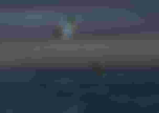 Two kitesurfers performing aerial tricks high above the ocean at dusk, while a person stands in shallow water watching below.
