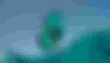 ZoeSchoenwetter_byChiaraSocin