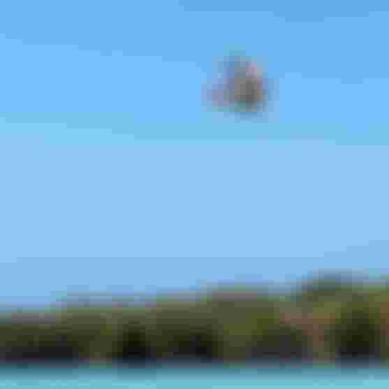 Kitesurfer performing an aerial trick over turquoise water with a backdrop of lush green trees and clear blue sky.