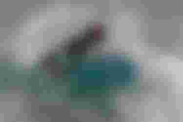 DTK-WHIP DLAB-Matchu Lopes-59