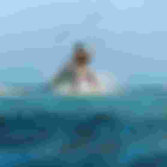 Duotone-Kiteboarding-WhipD-LAB-TrustBar-MatchuLopes-TobyBromwich-6514