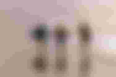 DTK-WHIP DLAB DUOTONE-70