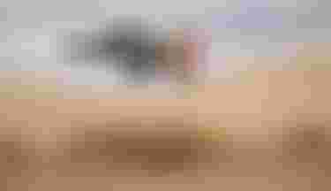 Duotone-Kiteboarding-Lazepump-2026-Edgar-Reno-Namibia-2