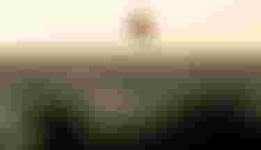 CharlieLoch_bySamuelCardenas