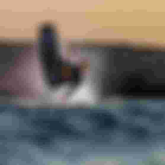 Duotone-Kiteboarding-Jaime-Trustbar-RenoRomeu-Egypt-2026-TobyBromwich-8269