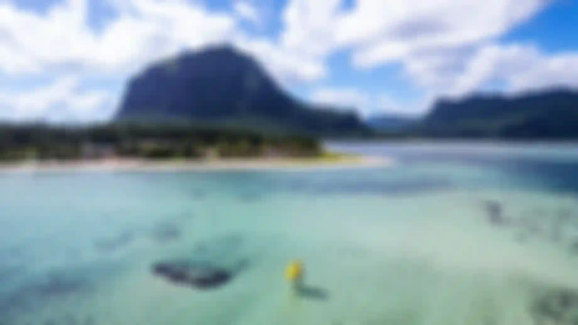 Victor Fernandez