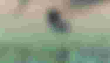 Duotone_Windsurf_SS24_IdolLTD