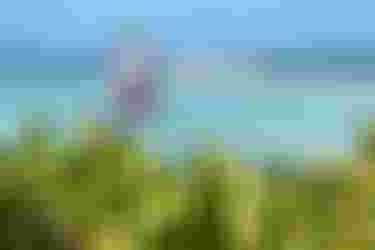 Duotone-Kiteboarding-Juice-RenoRomeu-2024-TobyBromwich-3680