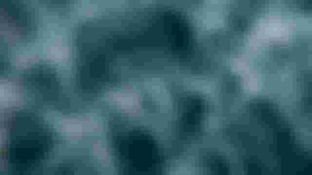 Website-Duotone-under-water-2025