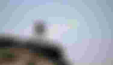 Duotone-Kiteboarding-CK_250309_DUOTONE_0242