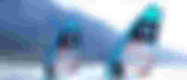 DTW25_WARP_FIN_GARDA