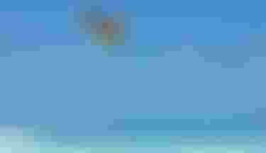 Kitesurfer mid-air above turquoise tropical water, holding board inverted against clear blue sky near a white sand beach.