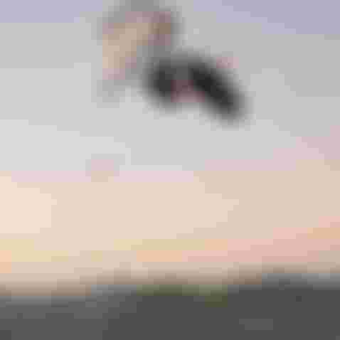 ZoeSchoenwetter_CCFilms