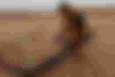 DTK-NEO SLS-Matchu Lopes-18