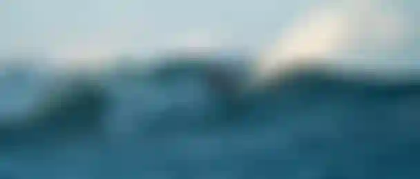 Banner_Website-DTK_James_Timeless_Mauritius
