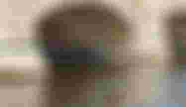 Hamburg_BenjaminMay_StriderSLS_byKlaasVoget-4847 2