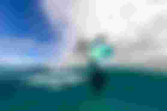 duotone