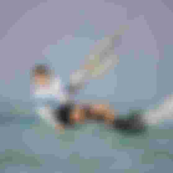 Duotone_Kiteboarding_GKA_Final_Qatar_MikaSol