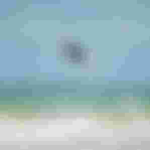 Duotone_Kiteboarding_GKA_Strapless_Cauipe_PedroMatos