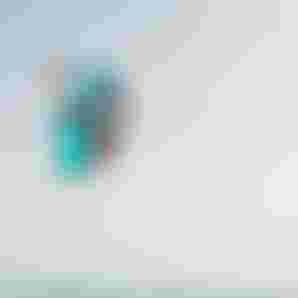 GWA24-Fuerteventura-19161136-Charlie Loch-J17A9116-roman