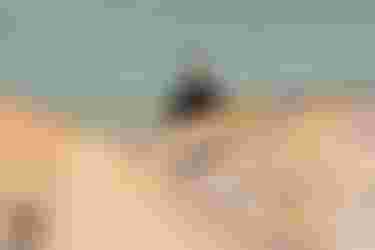 Mar with Unit SLS SS26