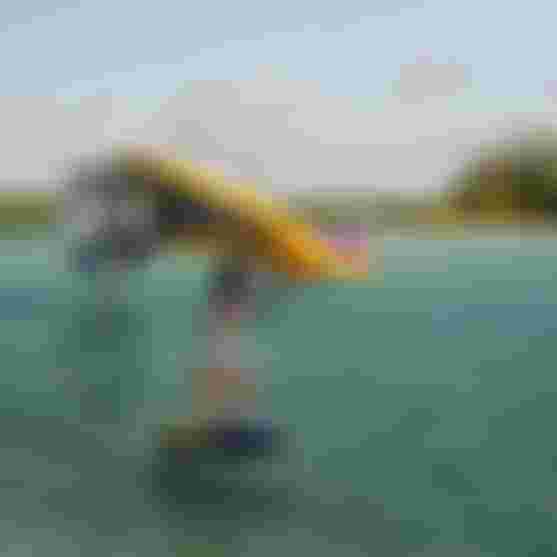 DSC00394