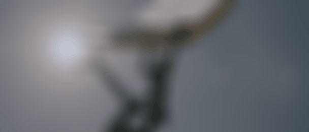 Duotone