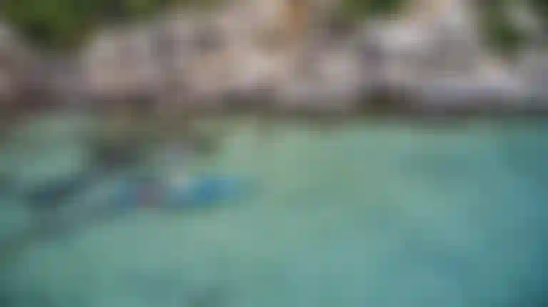 Fanatic SUP Action