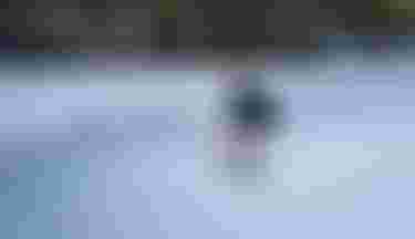 Jeffrey-Spencer_Strider_DSC02283_by_Chase-Heavener