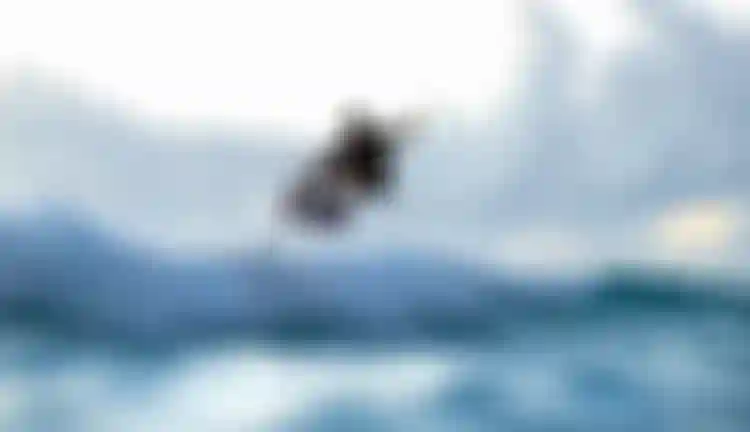 Finn Spencer prone foiling with Crush SLS SS26