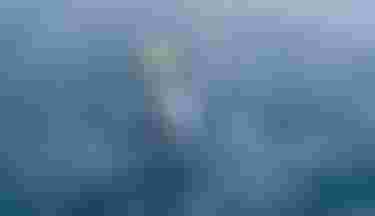 Finn & Jeffrey Spencer with Stash SS26