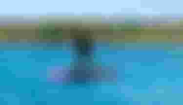 Jeffrey Spencer on Downwinder Slim SLS SS26