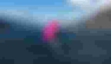 Finn Spencer on Parawing with Skybrid SLS