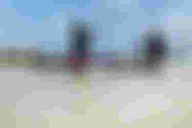 Finn and Jeffrey Spencer with DownwinderSlimSLS SS26