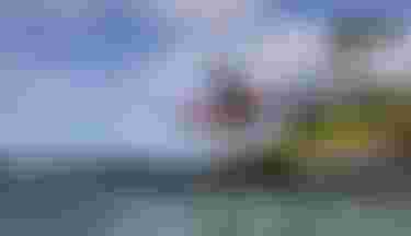 42250-3662_FinnSpencer_DownwinderSlim25Duotone_Maui_by-JohnCarter_DY6_D3_2906 2