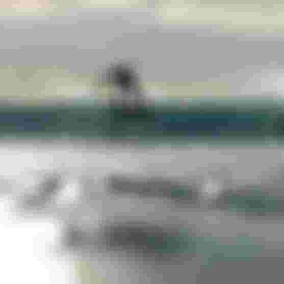 Finn Spencer with CrushSLS26