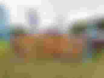 YoungBloodCamp_Grönwohld_byEnnoOldigs