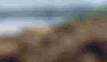 Matahi_Drollet-Duotone_JapanShooting_243A4379