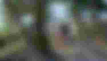 Finn Spencer Parawinging on Skybrid DLAB SS26 and Stash SS26