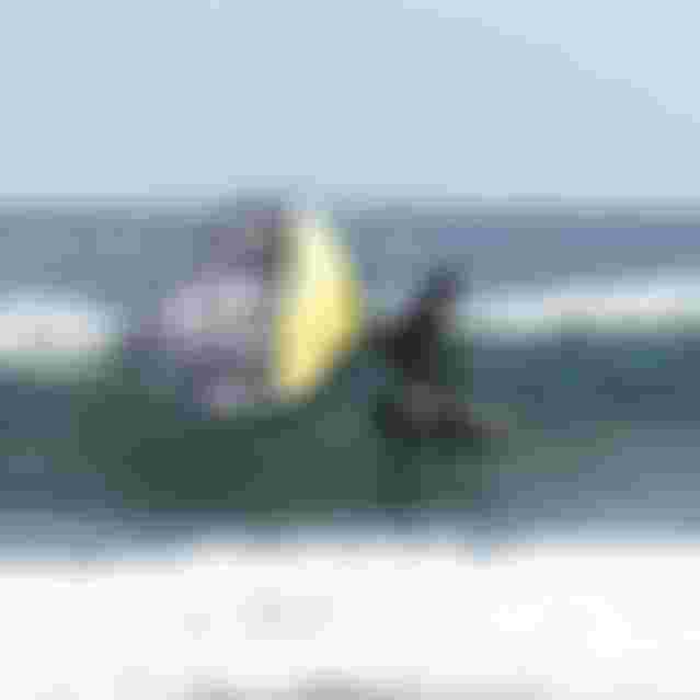 42250-3734_DTF-Carve30-Foil-Guadeloupe-2025-TobyBromwich-0086