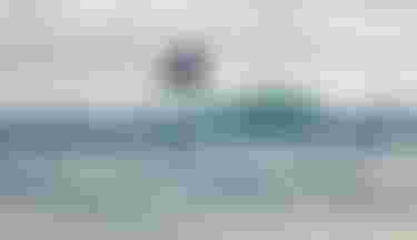 Finn Spencer Prone surfing on Guadeloupe with Crush SLS