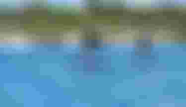 Finn and Jeffrey Spencer with DownwinderSlimSLS26