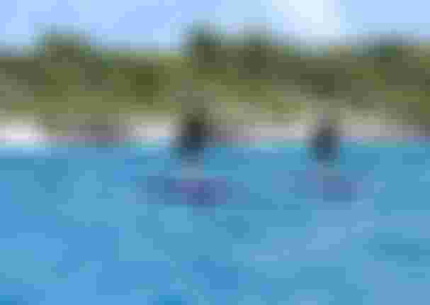 Finn and Jeffrey Spencer with DownwinderSlimSLS26