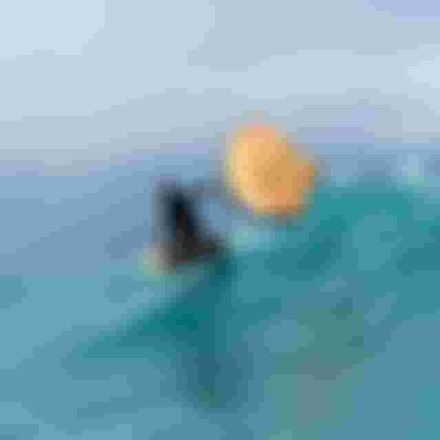 Jeffrey Spencer Wing Foiling FloatSLS26 SkyStyleSLS26