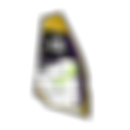 DTW26_Warp_Fin_Rendering