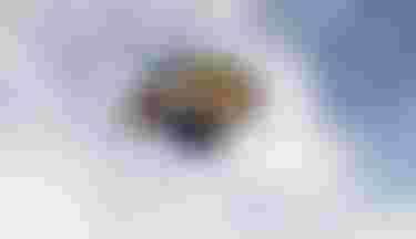 Benjamin May Sky Style SLS SS26