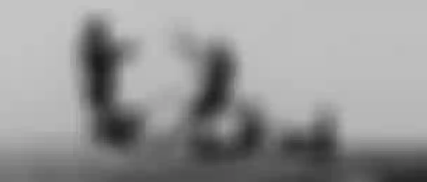 header